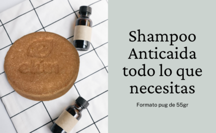 SHAMPOO-NATURAL-ARGAN-Y-CARITE-ANTICAIDA-ECORECREO.C