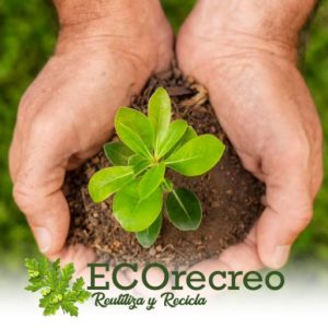 cropped-quienes-somos-ECOrecreo.jpg cropped-quienes-somos-ECOrecreo.jpg